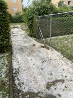 A "snowbank" of hailstones in the path by our backyard