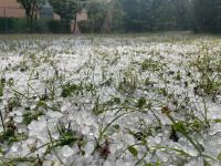 Closeup of hailstones covering the backyard