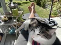 Leo sits with Marco on the terrace