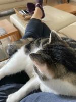 POV of Leo on Kath's lap