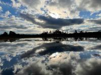 Sky reflected in an impromptu pond in ... Pfäffikersee Naturschutzgebiet (1)