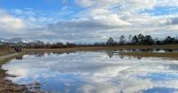 Sky reflected in an impromptu pond in the Pfäffikersee Naturschutzgebiet