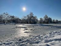 Snowy, icy field in the Pfäffikersee Naturschutzgebiet (1)