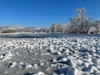 Snowy, icy field in the Pfäffikersee Naturschutzgebiet