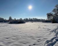 Snowy field in the Pfäffikersee Naturschutzgebiet