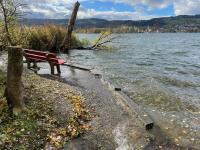 The Greifensee overflows the shore