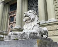 A lion in front of the Palais de Justice