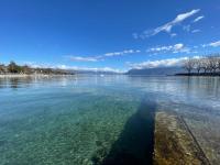 The limpid waters of Lake Geneva (1)
