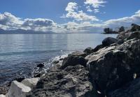 The shore of Lake Geneva (1)