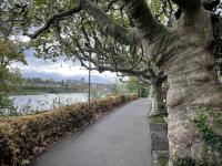 Looking out over the Rhine near Roche headquarters in Basel