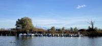 Boats and white mountains at the Pfäffikersee