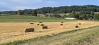 Hay bales in the Pfäffikersee Naturschutzgebiet