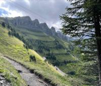 Looking toward the ridges of Männlichen from about 90% of the way up