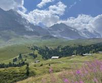Lovely pink flowers point toward the Mönch and Jungfrau