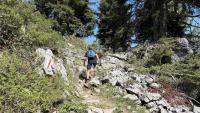 Marco walks up through a gap in the Warmtobel