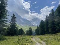 Mönch and Jungfrau peek through the trees on the way to Alpiglen