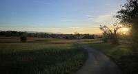 Sunset in the Pfäffikersee Naturschutzgebiet