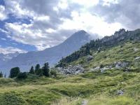 The Eiger looms over a lovely jumble of rocks and trees on Männlichen