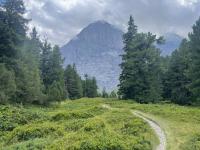 The Eiger looms over the hiking trail down to Alpiglen