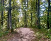 Walking from the Schauenberg to Schnurrberg