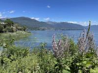 View back to Ascona from the Isola di Brissago