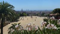 White oleander and palm trees frame th...rk Güell with Barcelona as backdrop
