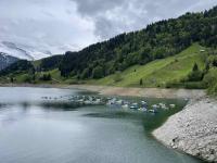 Boats arrayed on a sorely depleted Wägitalersee