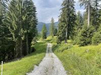 Offroading on the way to Splügen