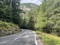 Riding up this valley in Graubünden has so much lovely pine
