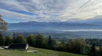The Alps, as seen from the top of the Bachtel