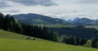 The white peaks of Titlis and Ruckstock viewed from far above Feusisberg