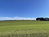 Windows XP background, just above Jordanville